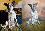 Hund Lea Foto und gemalt